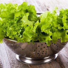 Lettuce Salad